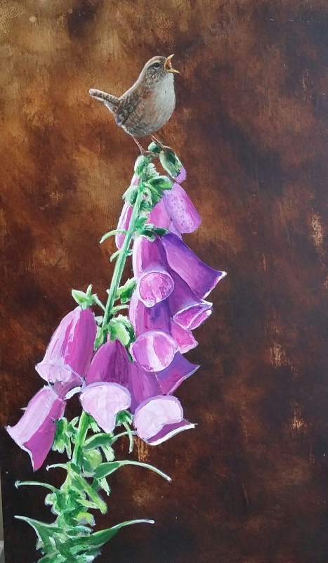 wren_morning_light_original_painting_by_ian_griffiths