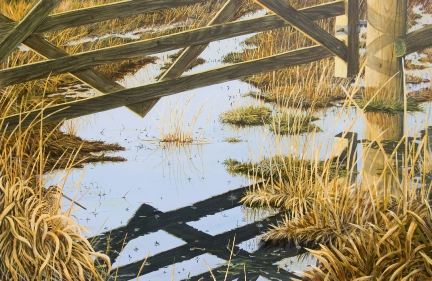 Snipe_goonhilly_downs_cornwall_original_painting_Ian_Griffiths
