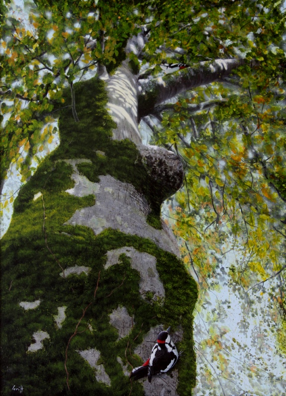 Woodpeckers_original_painting_by_ian_griffiths